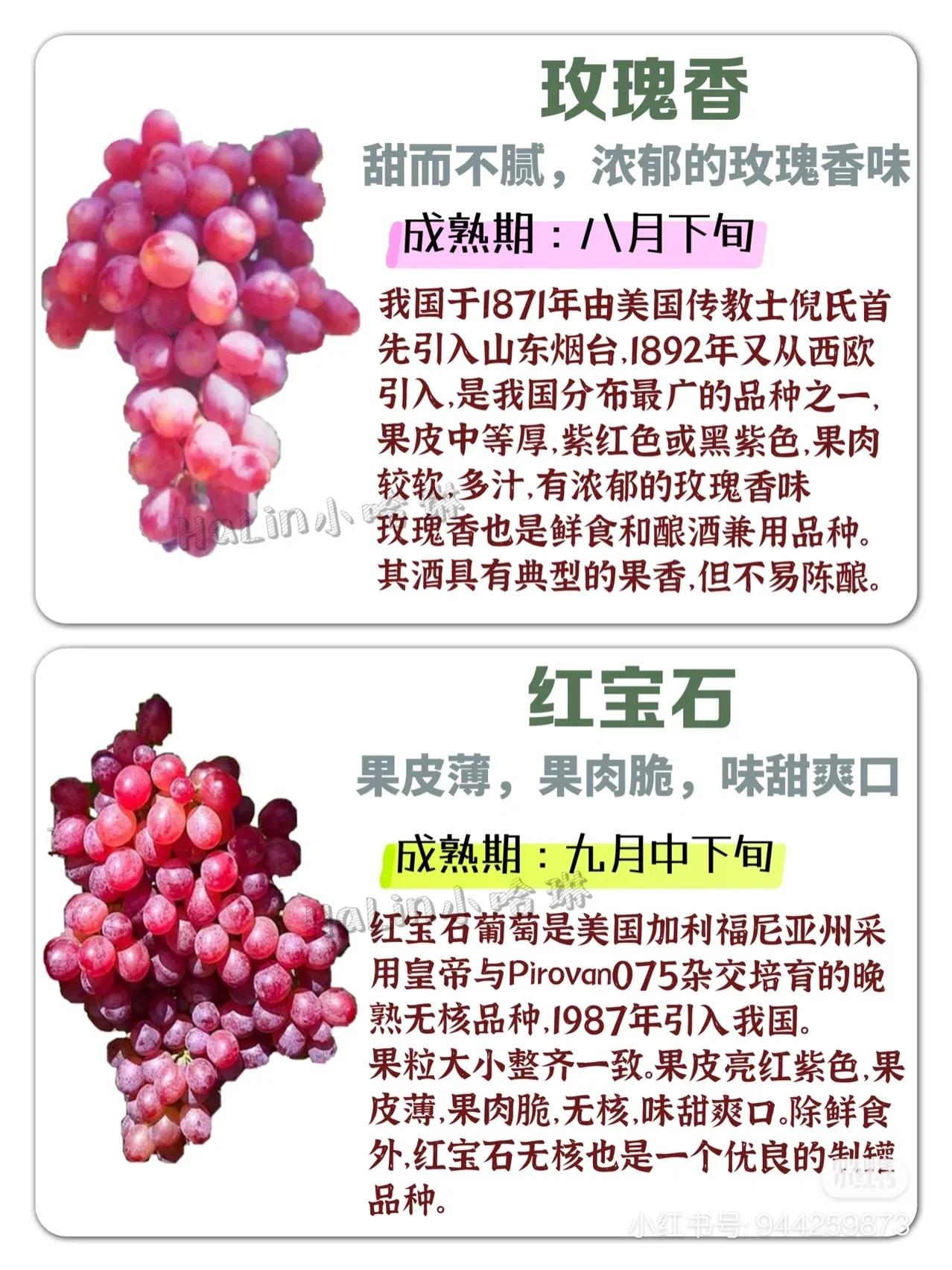 常見葡萄區(qū)別和口感