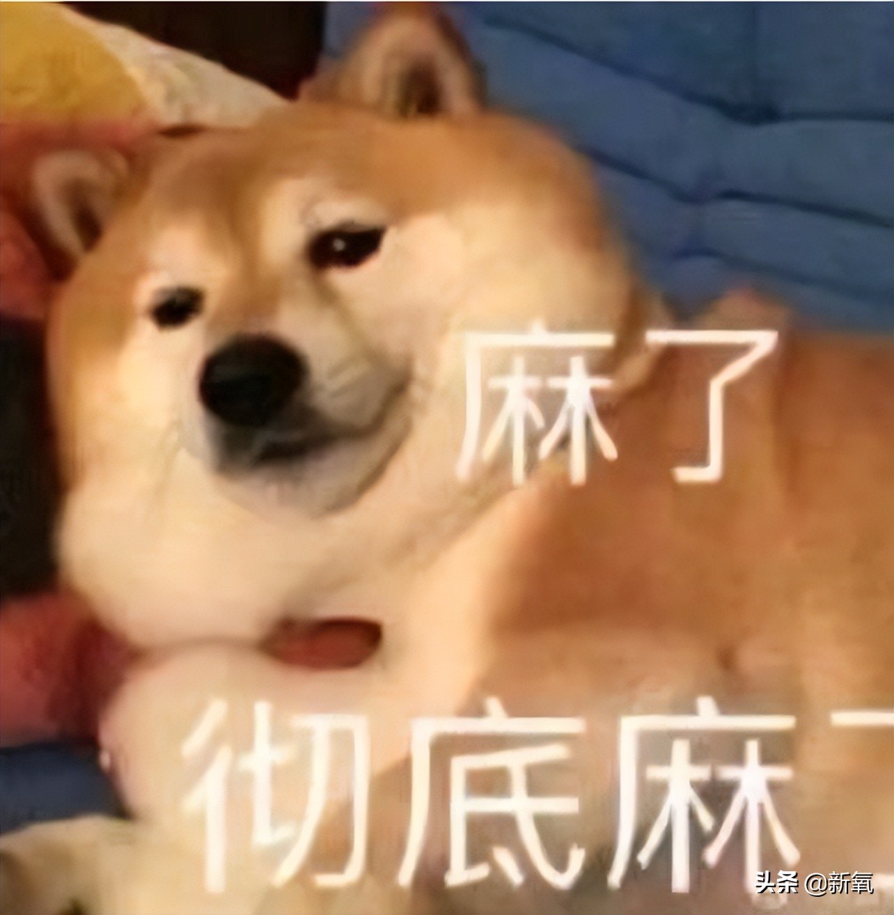 是给的太多了么？她俩之前可是厌恶舞台到顶级巡演都缺席不去…