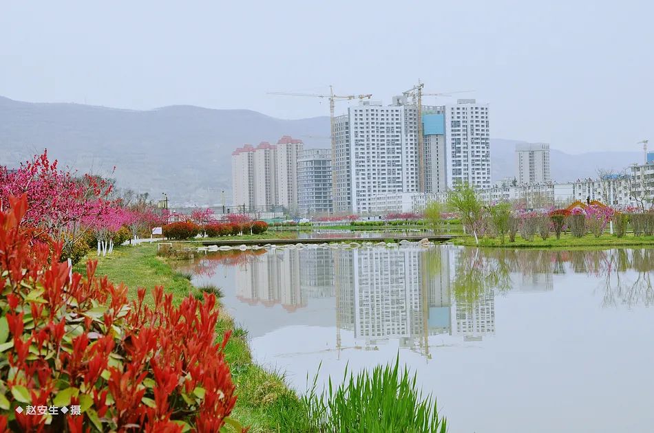 疫情挡不住春天的脚步，小编带你去看古城秦州的春暖花开