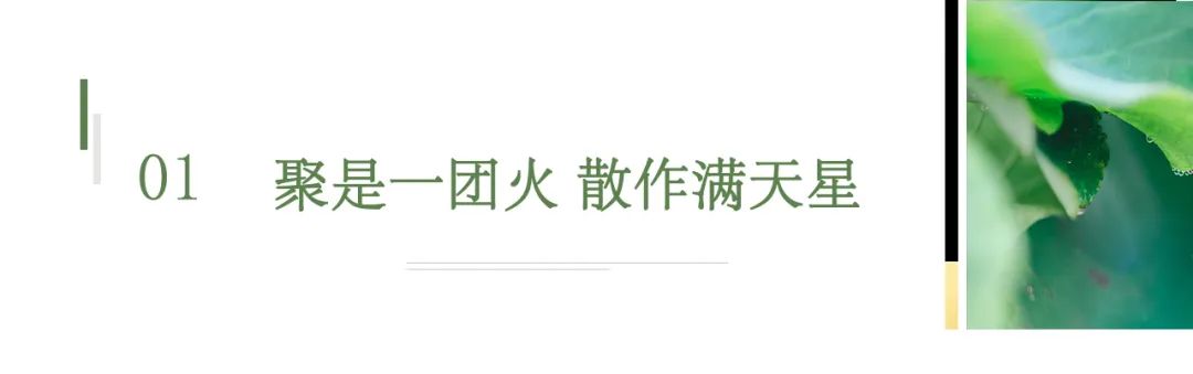 向阿里学铁军锻造 | 打造独具特色的苏可安铁军团队助推企业跃升
