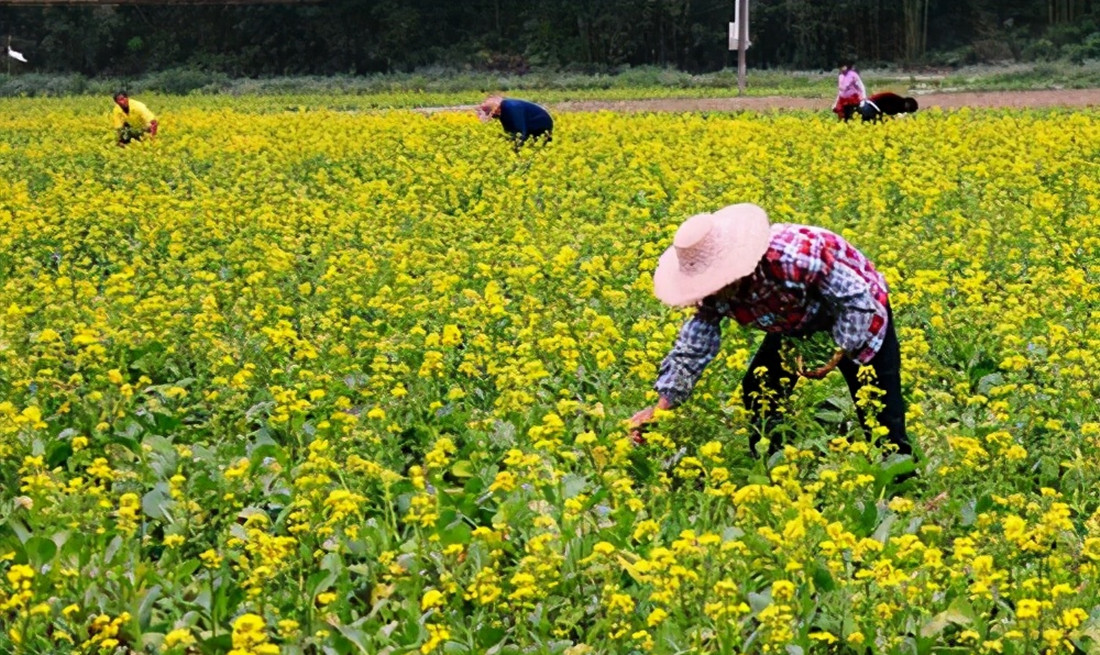 “寒门学子”江群：一家6口靠母亲养活，高考681分圆梦清华