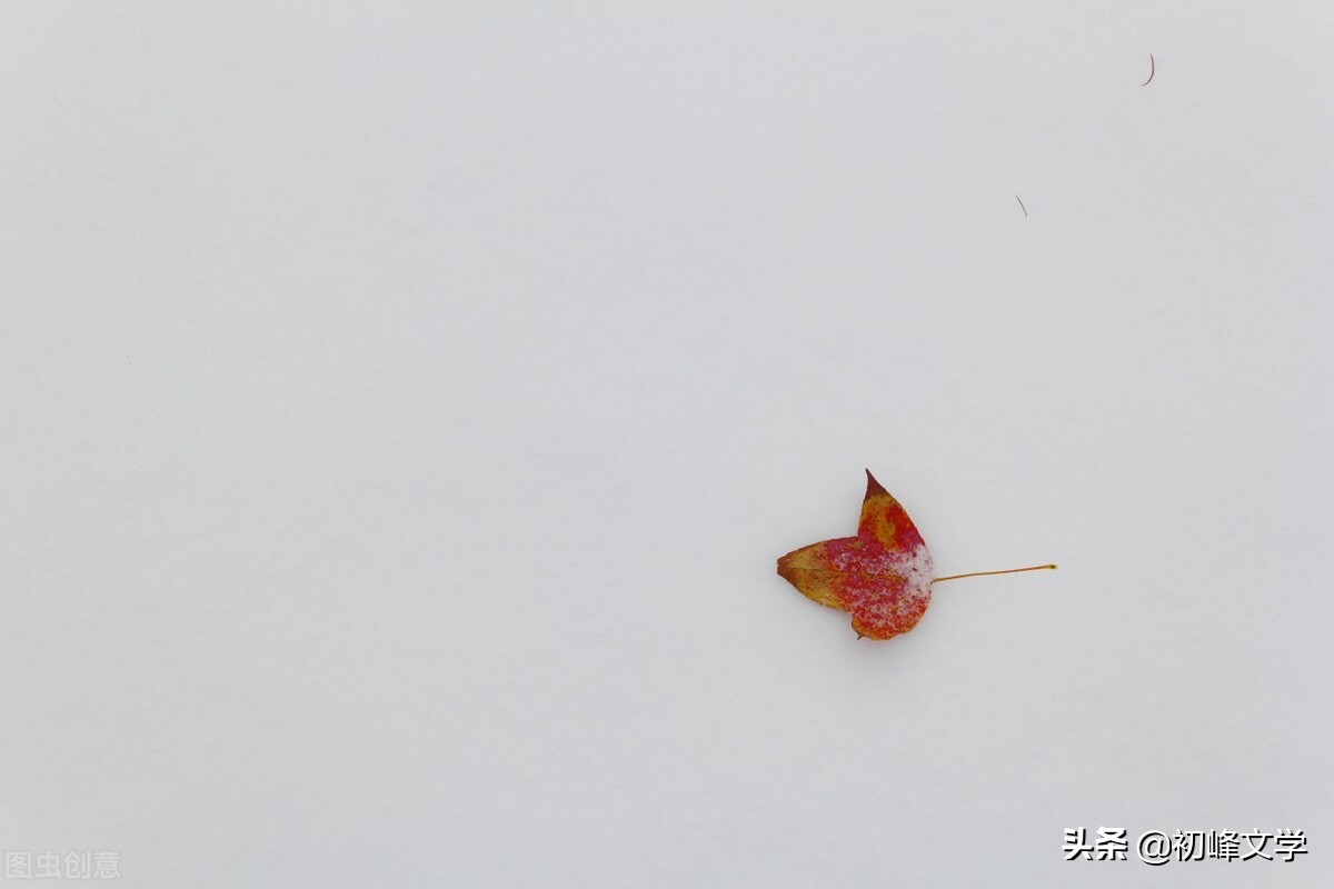 散文：退一步海阔天空，忍一忍不后悔