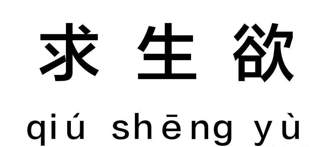 布朗大学华人统计30个会议，25年最佳论文：微软第一 清北排30名外