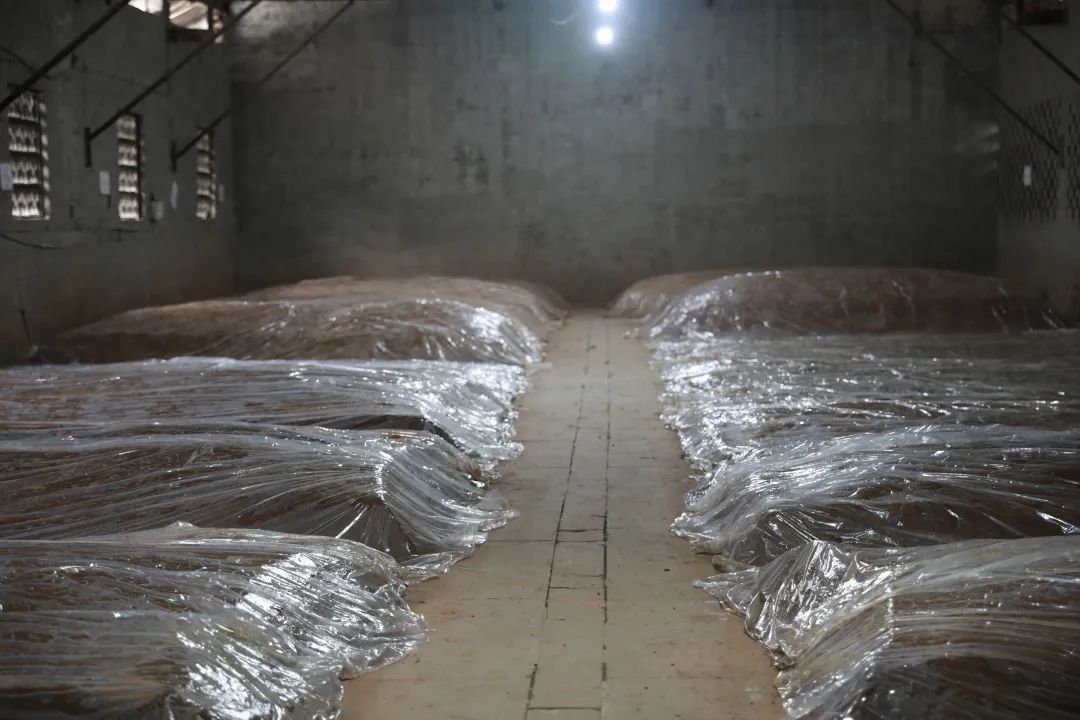 川酒风物丨窖为酒之魂，读懂窖池，你就读懂了中国白酒