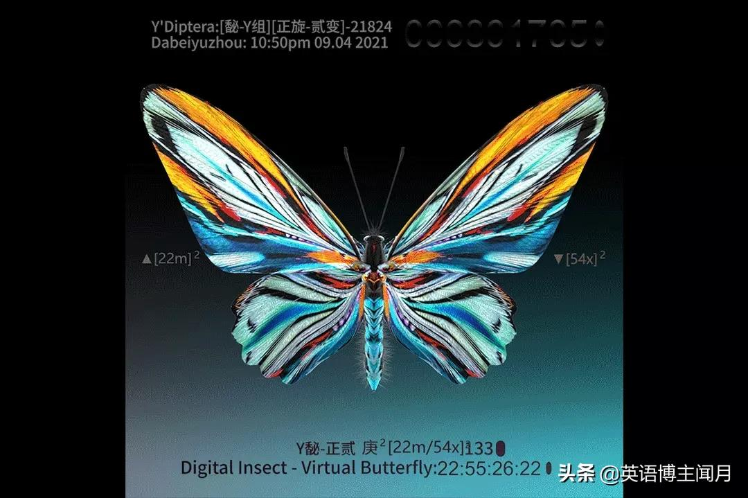 在超现实的场域，触发一场梦游丨创意开放日