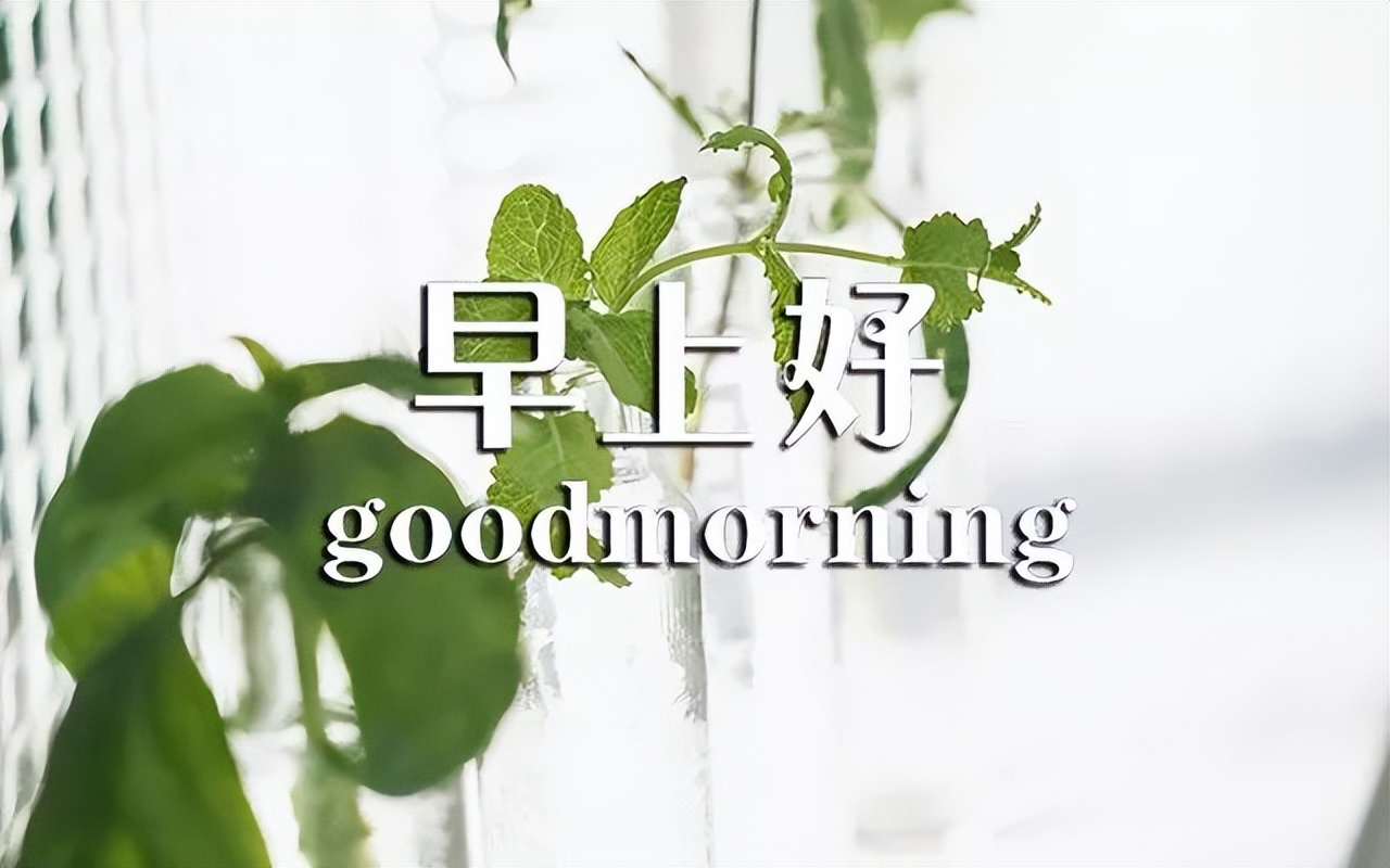 微信群发今日早上好表情包，平淡中享受才最珍贵，早安图片