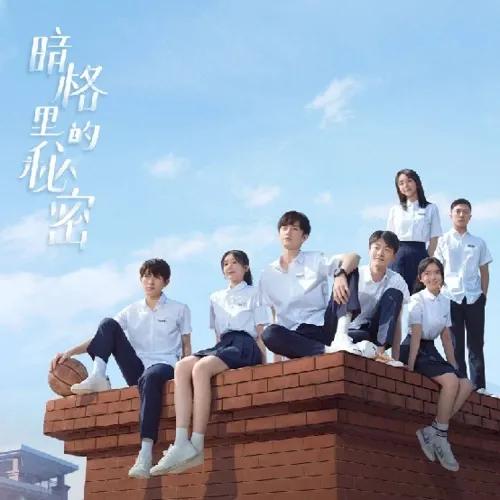 推荐四部青春校园剧，小伙伴们赶快追起来