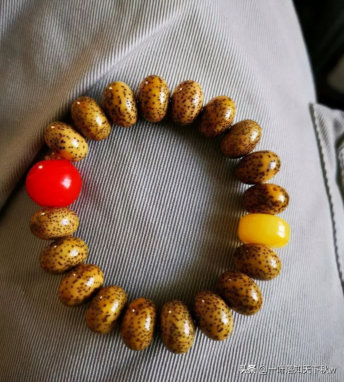 象牙果盘玩后效果图(象牙果盘玩变色)-我的快乐小窝