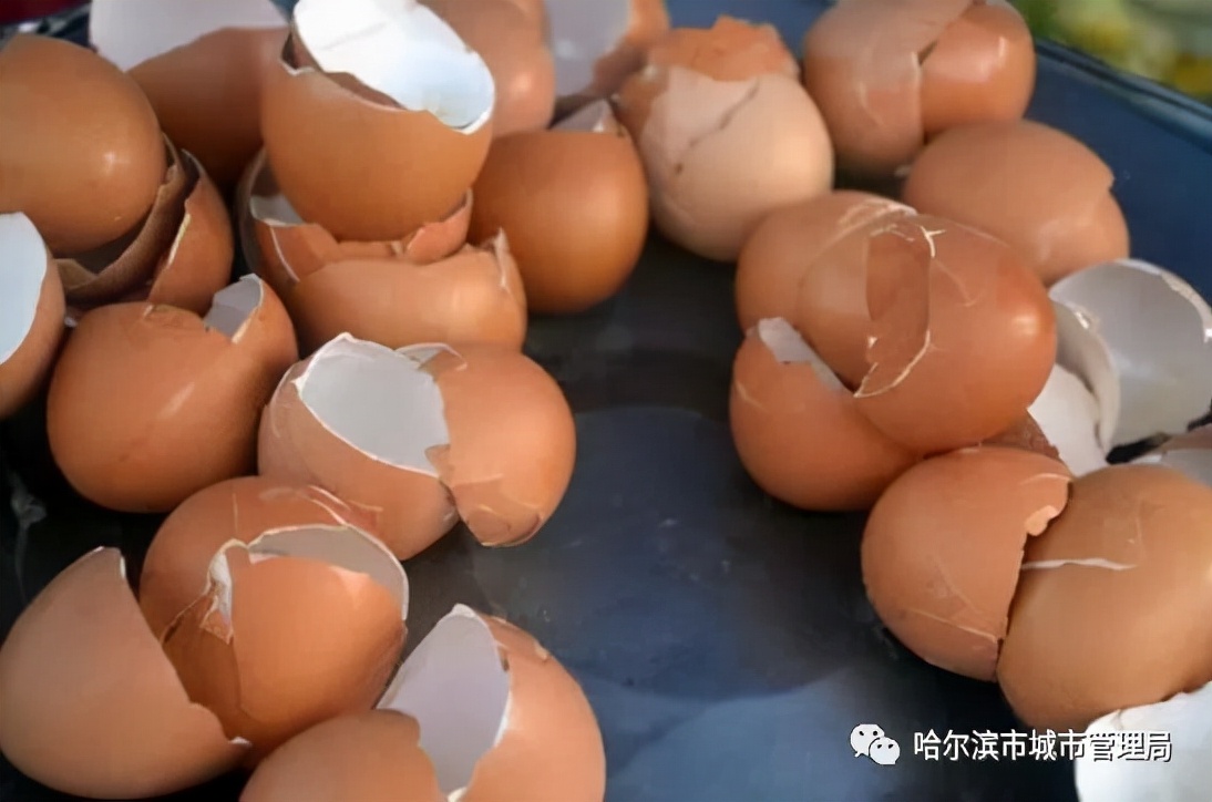 鸡蛋壳属于什么垃圾分类(垃圾分类 | 鸡蛋壳是什么垃圾？)