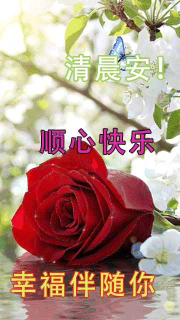 周一早安正能量，漂亮祝福问候语图片，风雨同舟、远离疫情图片