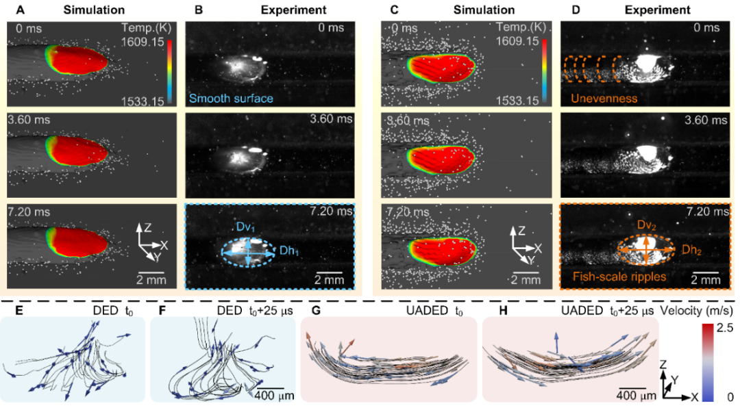 Appl. Phys. Rev:揭示超声振动辅助增材中熔池的动态流动特性