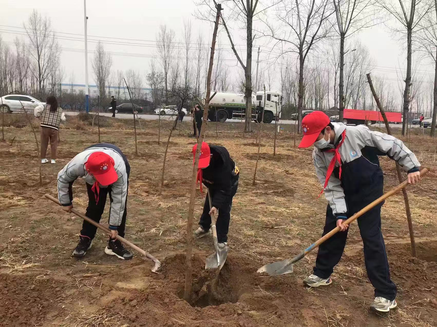 邢台市襄都区晏家屯中学参加植树活动(图1)