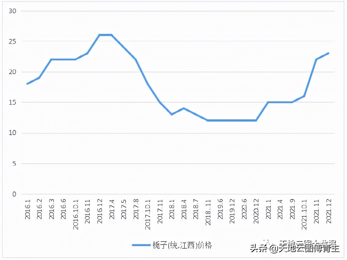 原料评测∣栀子4年低价，今年又能涨多久？