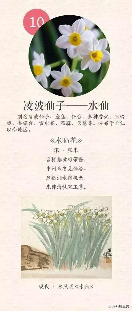 中国十大名花,您都知道吗?