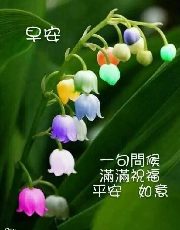 周日微信早上好的问候语祝福图片鉴赏 快乐来自心灵的感恩和祝福图片