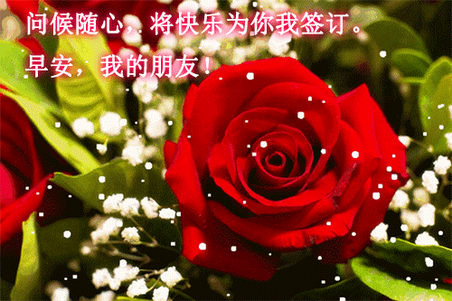 周日清晨早上好问候祝福动态表情图片 美好早晨送你快乐健康图片