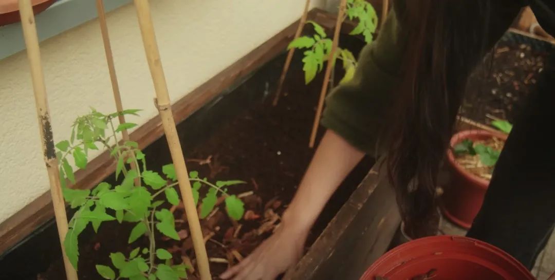 二胎妈妈改造8㎡阳台种20多种蔬菜，看了这个，我疫情还要抢菜？