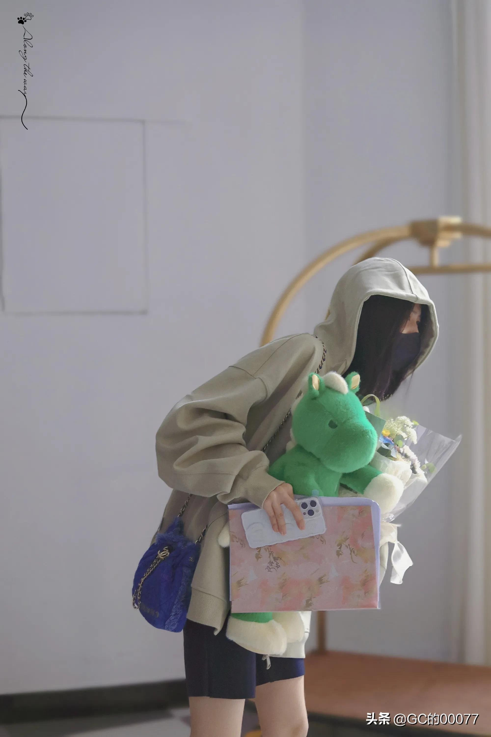 明星图片白鹿