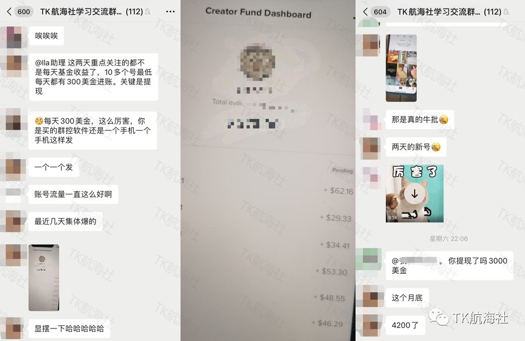 tiktok創作者基金最新政策及PayPal-WorldFirst流程「干貨收藏」