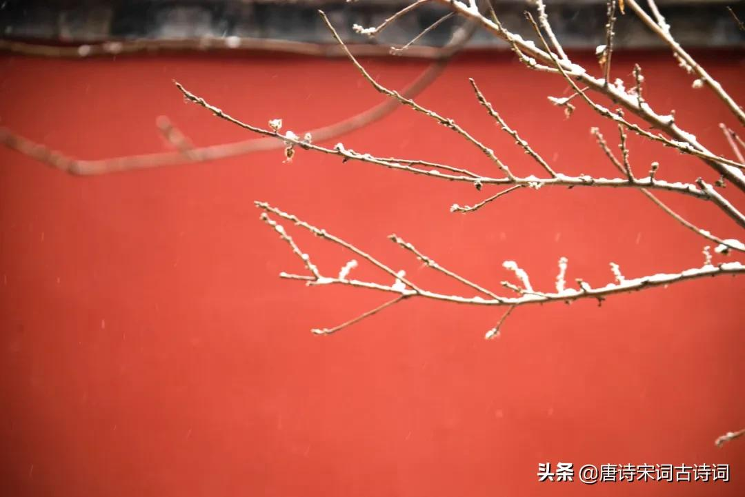 雪化了，就是春天