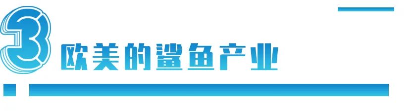 姚明的呼吁让中国人不吃鱼翅，但鲨鱼为何更濒危了？