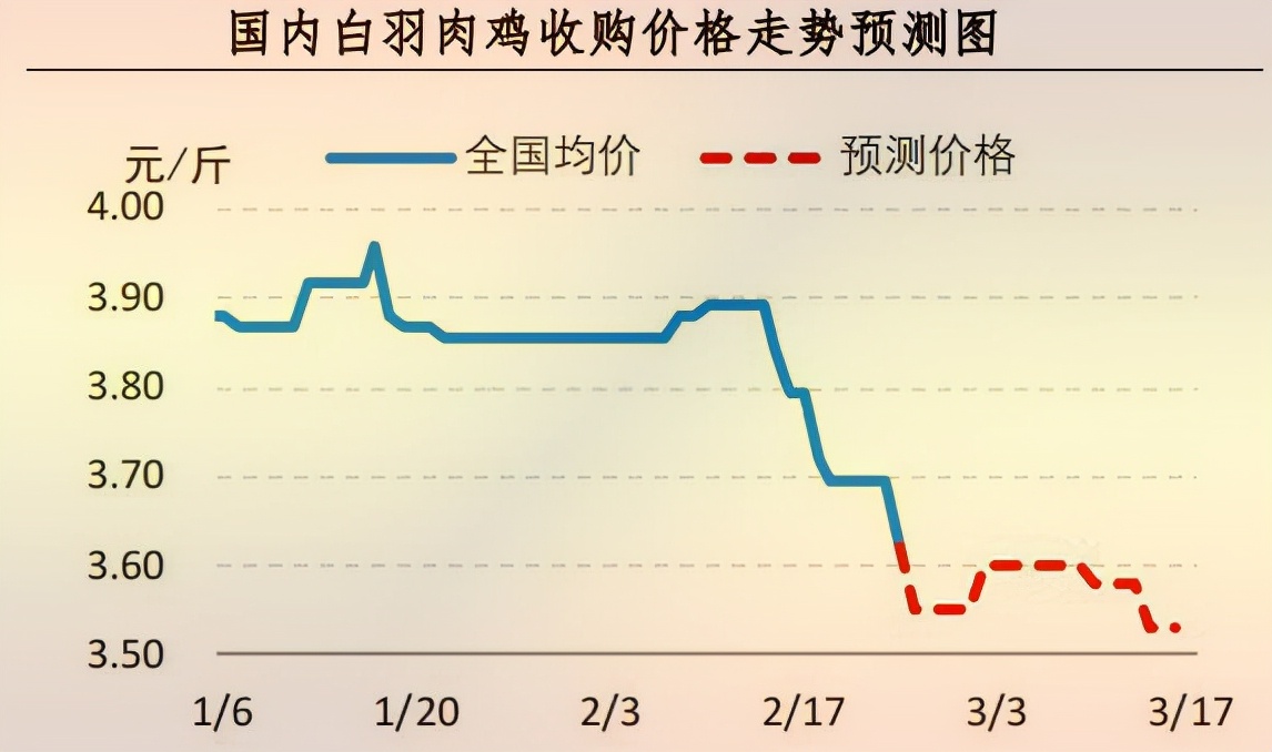 「周报」肉鸡市场行情汇总：鸡肉走货缓慢 养殖成本继续走高