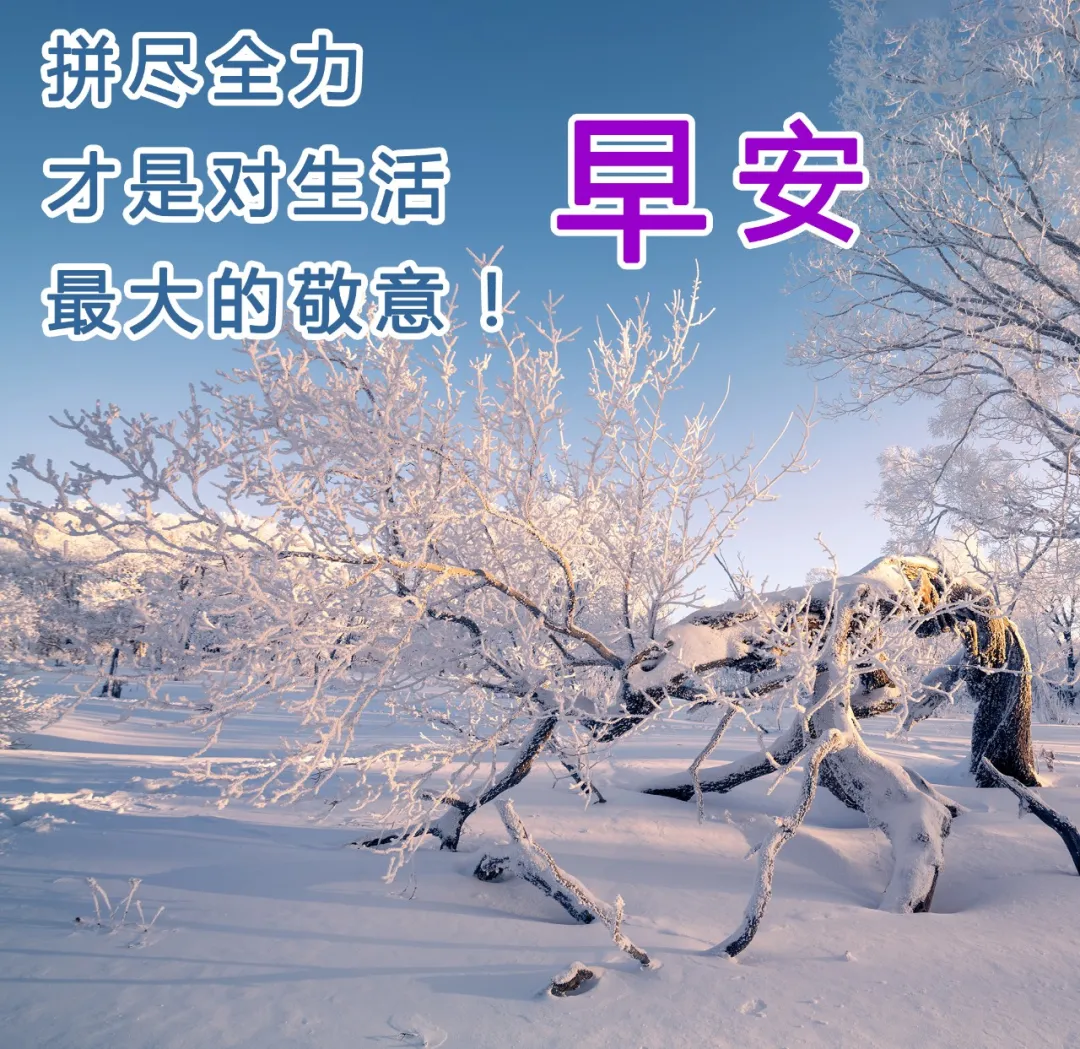 冬季早上好动态表情图片 早上好天冷注意保暖动态图片