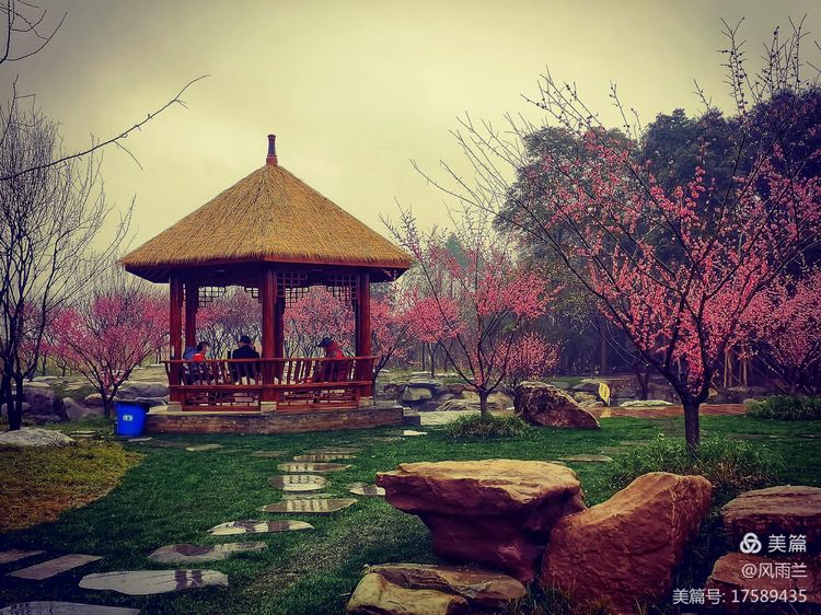烟雨蒙蒙问花村 作者：武术兰