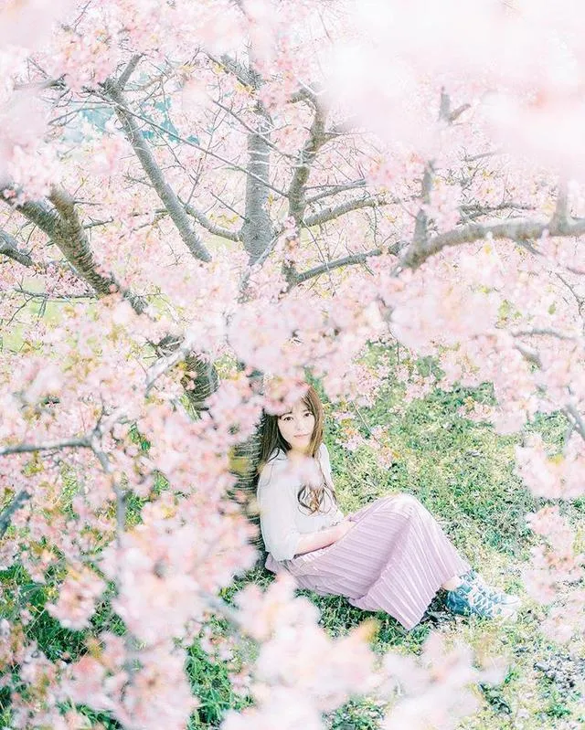 清新唯美的樱花人像