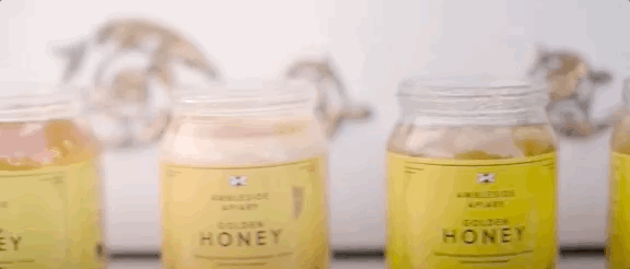 笑到头掉！“喜剧之王”的新剧来了