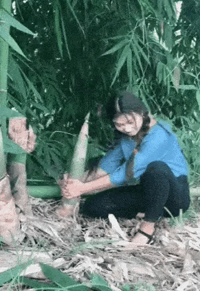 女朋友出差了，说去了上海出差，还给我发来了一张这样的照片