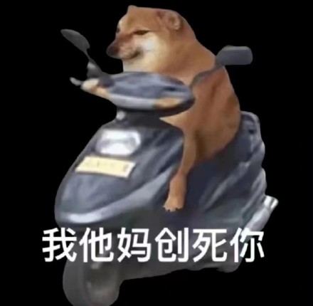 我他妈创死你表情包柴犬骑电动车 