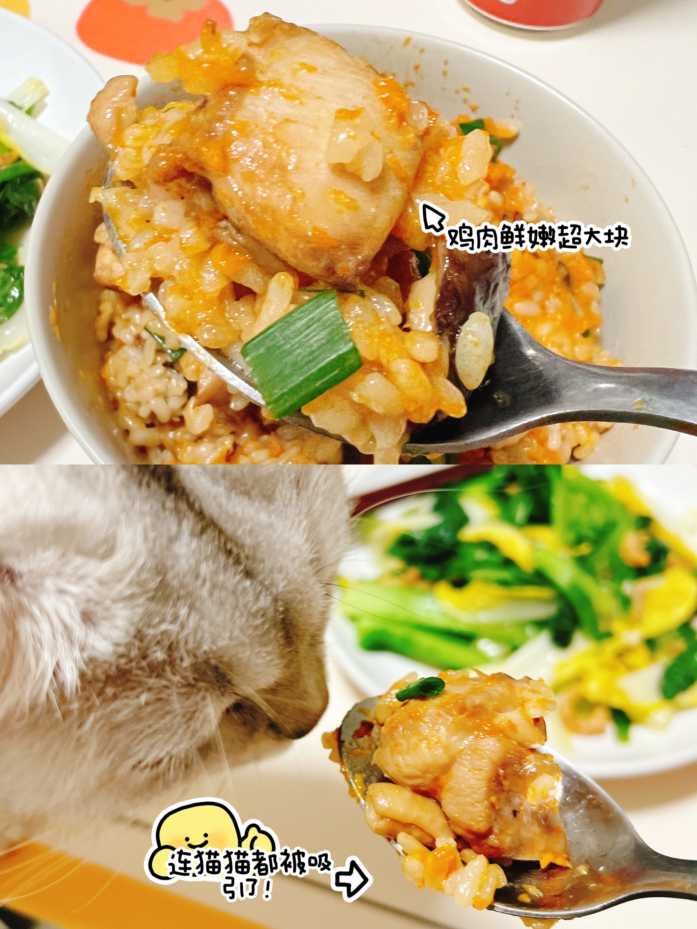 电饭锅美食鲜甜软糯的南瓜鸡腿饭，0失败教程！