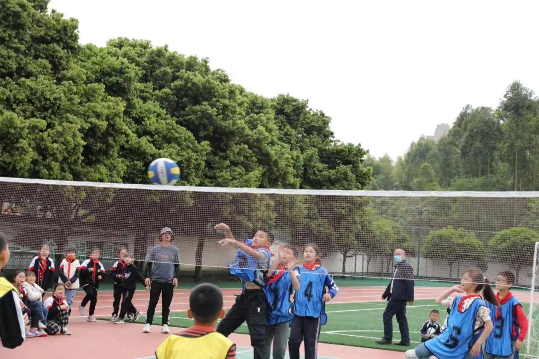 奋力拼搏展风采——天府新区煎茶小学校园排球赛拉开帷幕