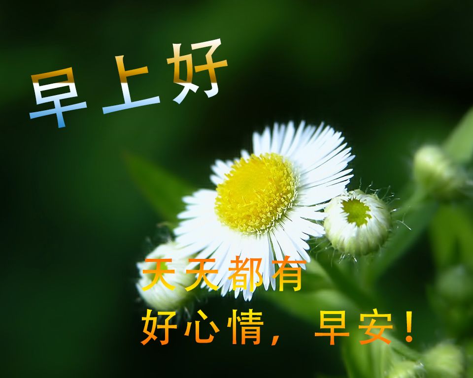 周日早上好祝福语图片 早上好问候句子 早上好天天都有好心情图片