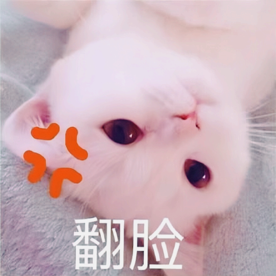 一顿饭4位数，第一次见面就给女方买千元包：现在相亲这么贵了？