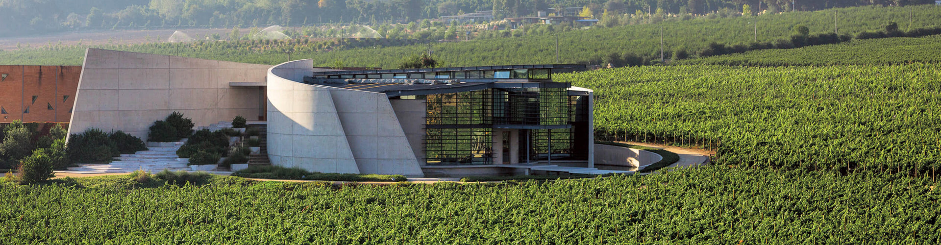 全球五大最具可持续性的葡萄酒产区