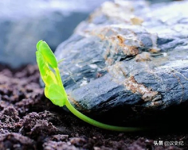 2017年，安徽一女会计贪污1158万，给男主播刷百万“钻石”