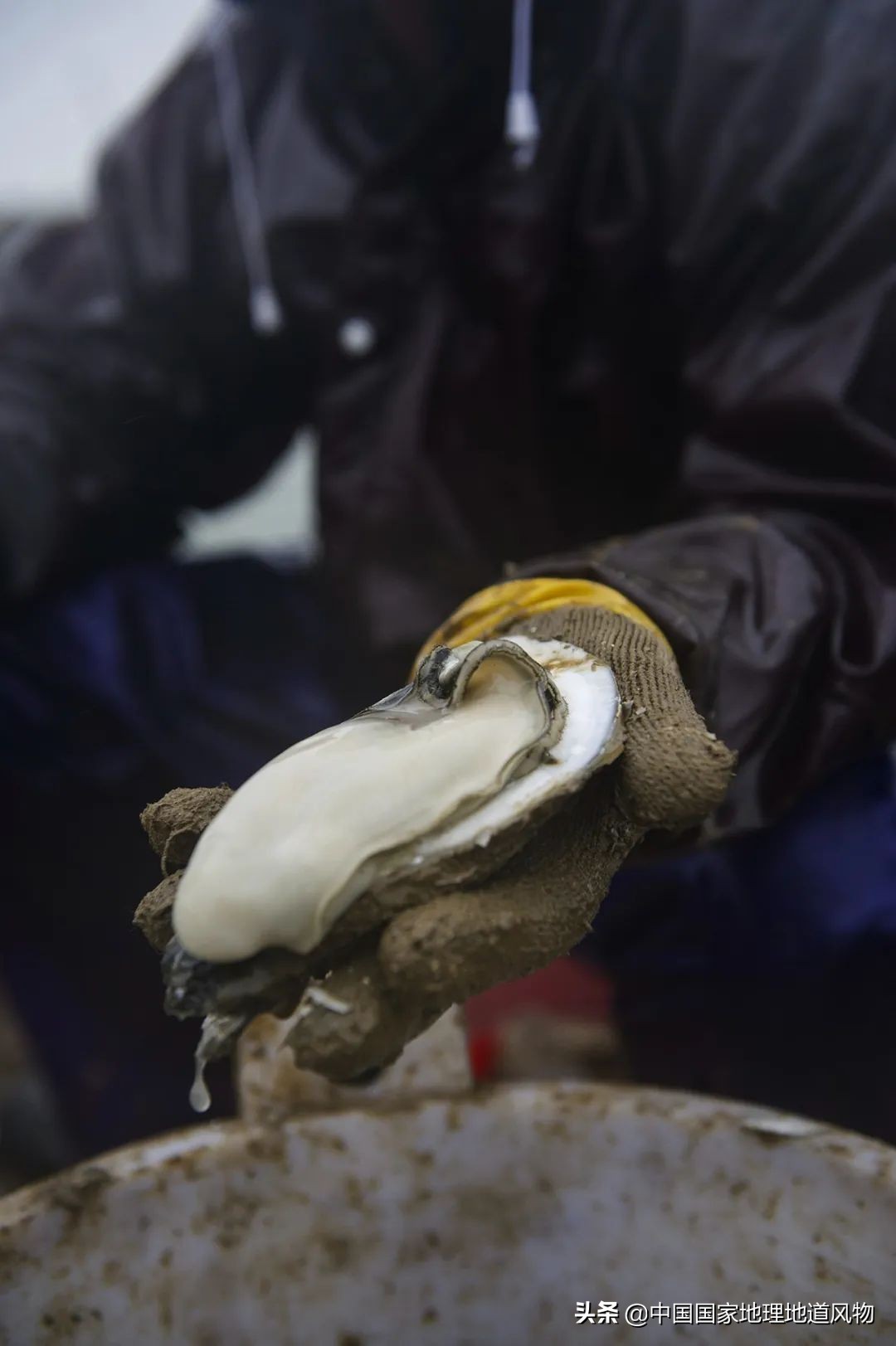 �й����ʴ�ʡ��ô�࣬����������óԣ�