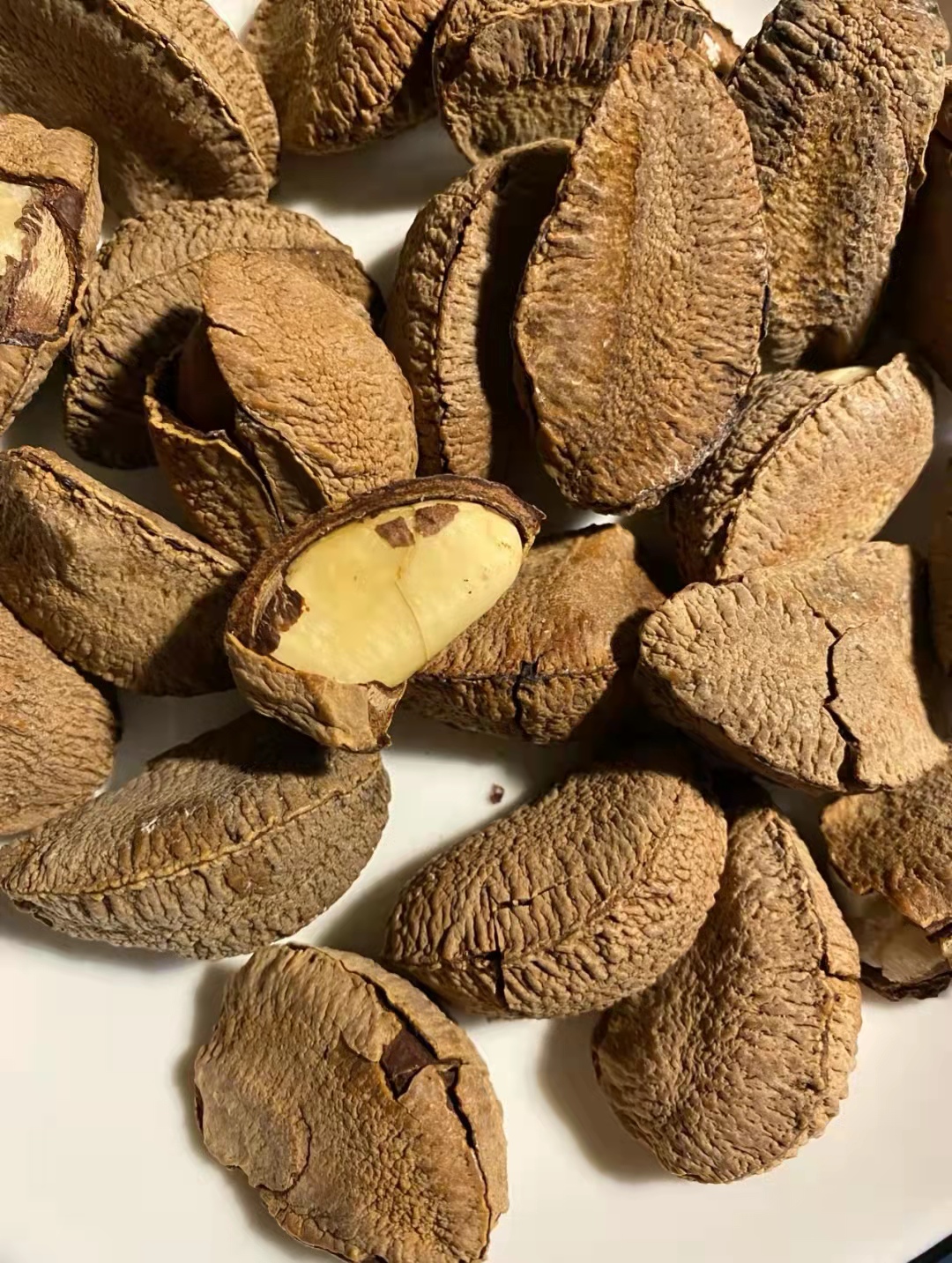 鲍鱼价格是多少钱一斤50元一斤的鲍鱼果