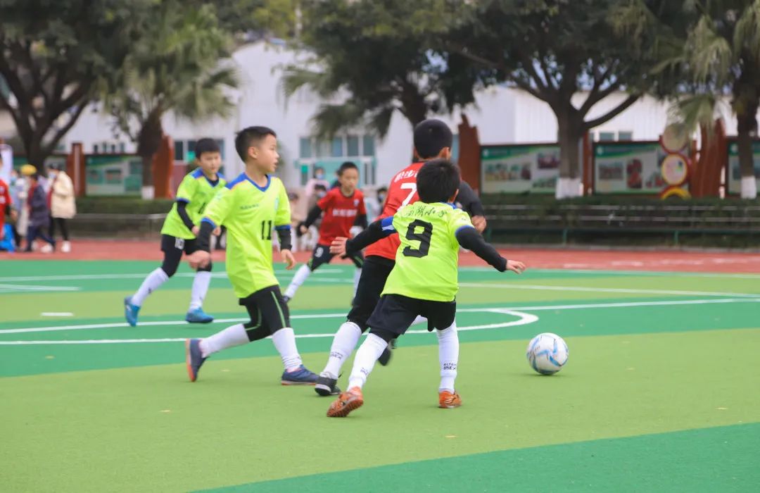 喜报！南湖小学被授予新区体育后备人才基地和体育传统特色学校