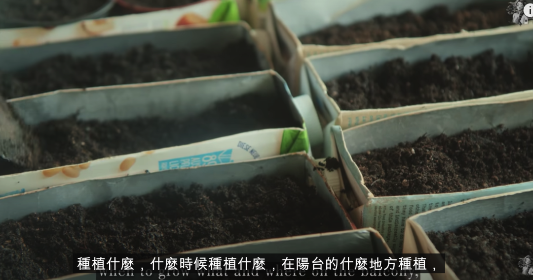 二胎妈妈改造8㎡阳台种20多种蔬菜，看了这个，我疫情还要抢菜？