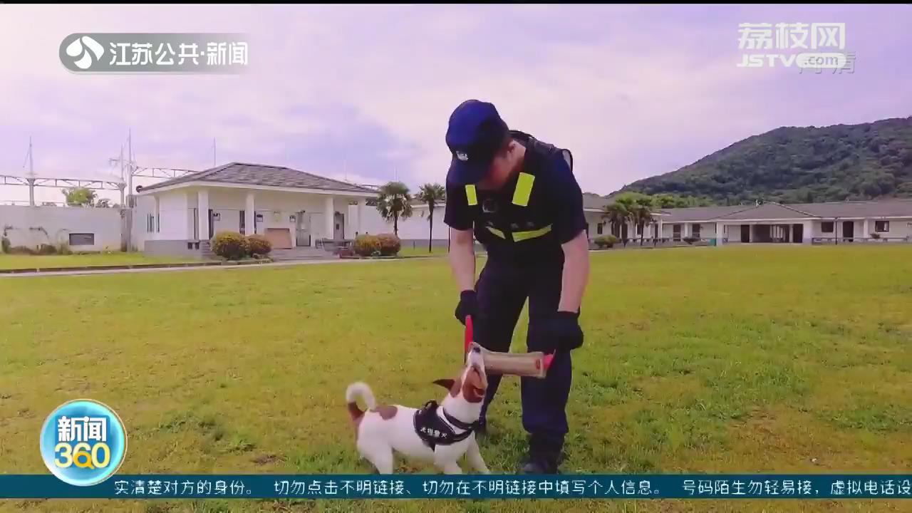 「国际禁毒日」为缉毒犬点个赞