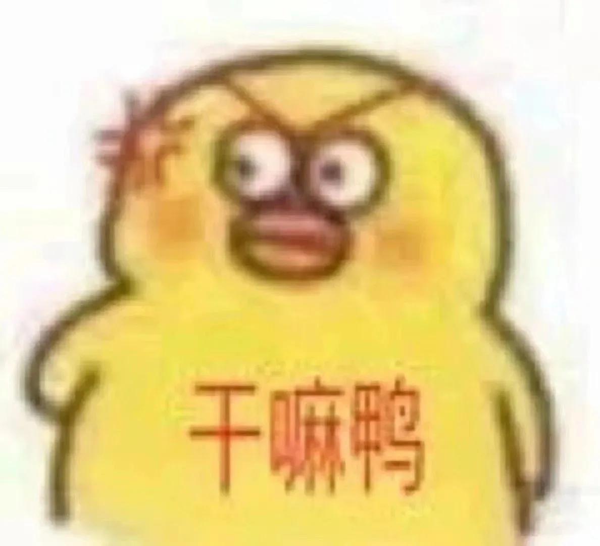 表情包｜我都找不到表情包来描述心情了