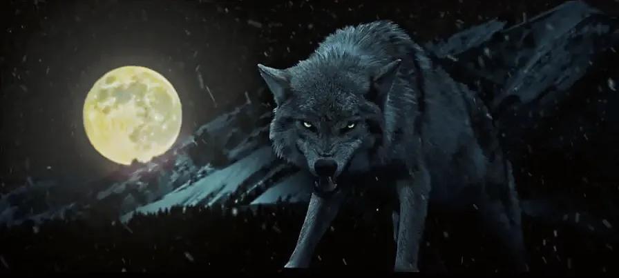 万物皆有灵 你救我一命 我护你一生