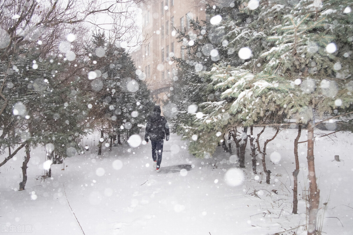 寒假留下来看校，在校园里欣赏到绝美的风景