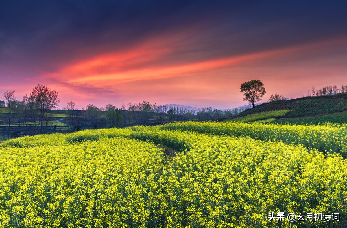 人道春光好,我言春堪怜,三首长相思诉说春天的情绪