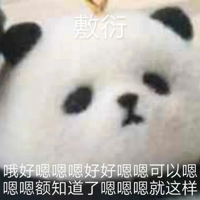 表情包我错了，以后你改