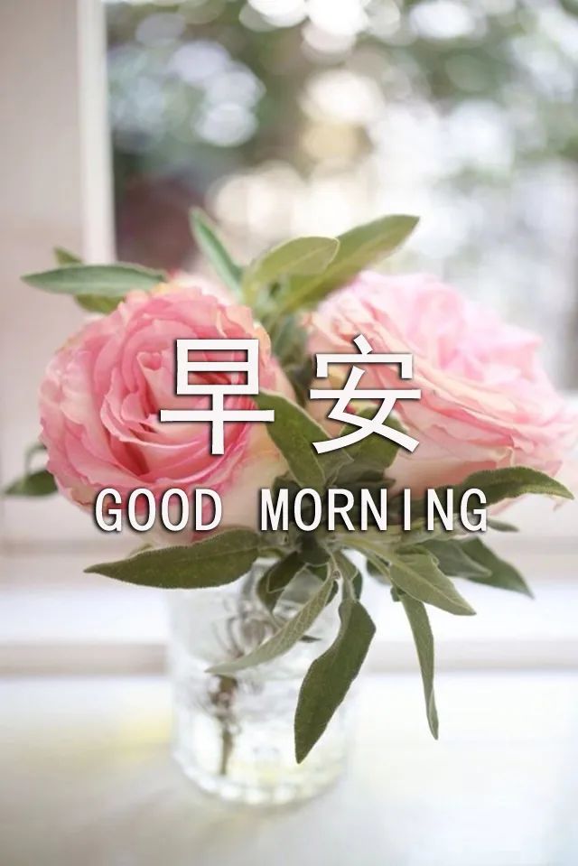早上好问候语大全 早上好祝福语大全 凡事都平安、事事皆如意图片