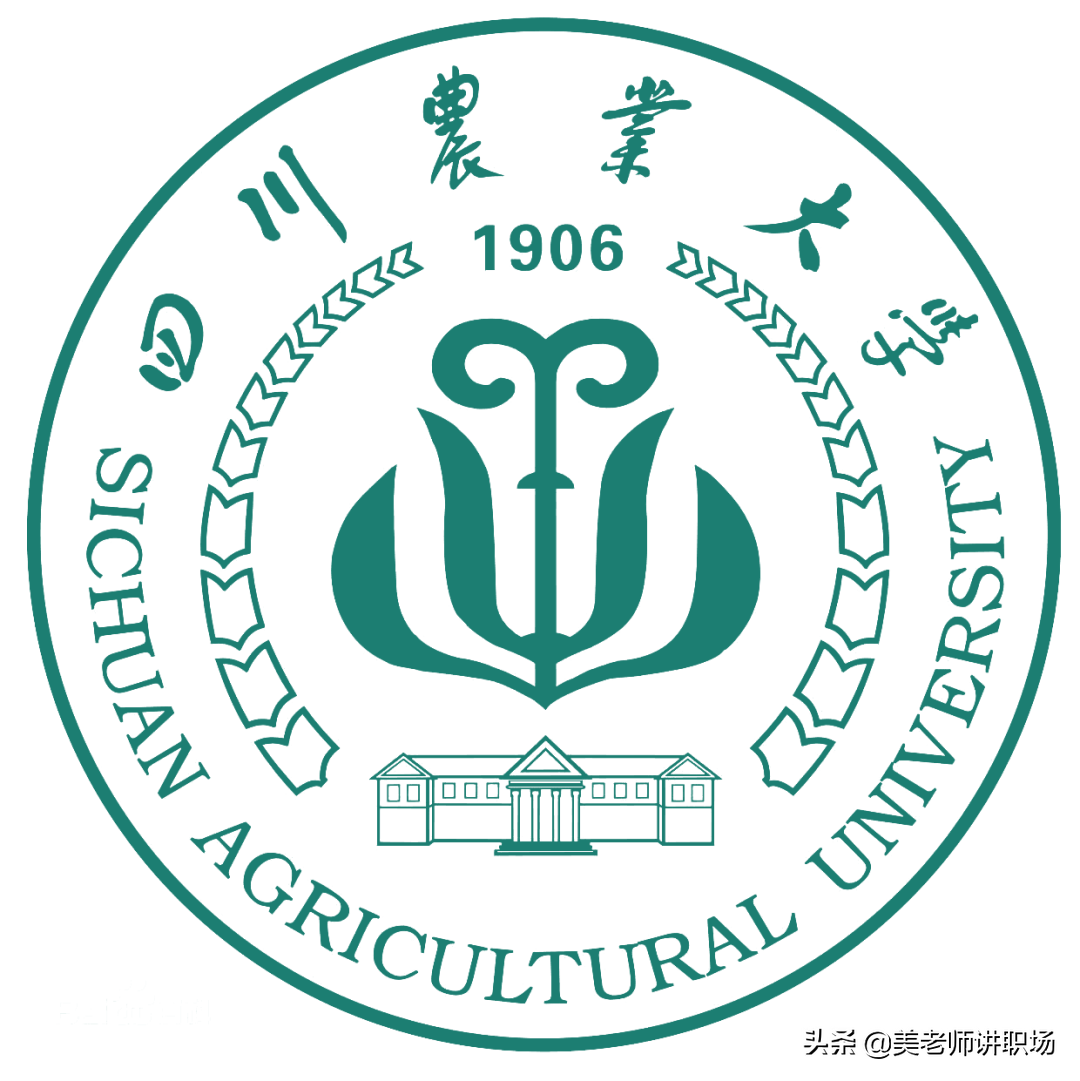 万字点评：全国31省市各排名前五共155所高校